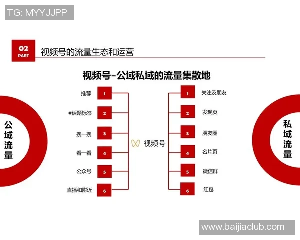 南京排球队运营揭秘：深度解析背后的管理与发展策略